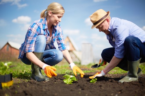 Professional gardeners East Ham planting flowers
